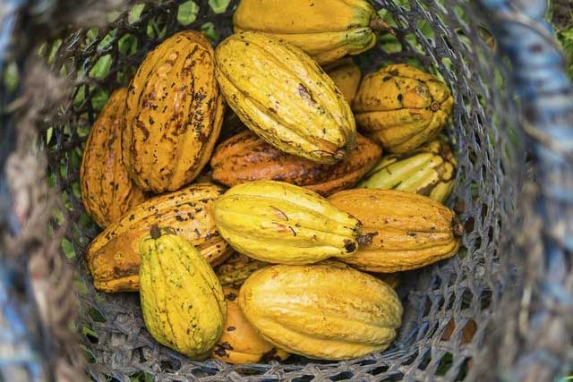 Chỉ nặng bằng quả trứng gà, vì sao một thanh socola lại có giá hơn 12 triệu đồng?