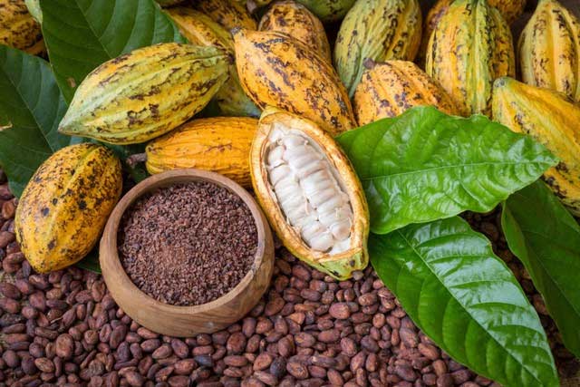 Chỉ nặng bằng quả trứng gà, vì sao một thanh socola lại có giá hơn 12 triệu đồng?