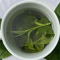 Uống trà xanh giảm triệu chứng viêm khớp dạng thấp
