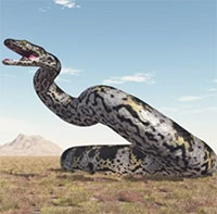 Nhóm nghiên cứu Ấn Độ tìm thấy hóa thạch có thể là loài rắn lớn nhất hành tinh