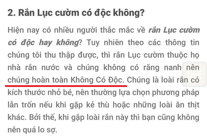 Loài rắn vô hại nhưng thường bị hiểu lầm là cực độc ở Việt Nam