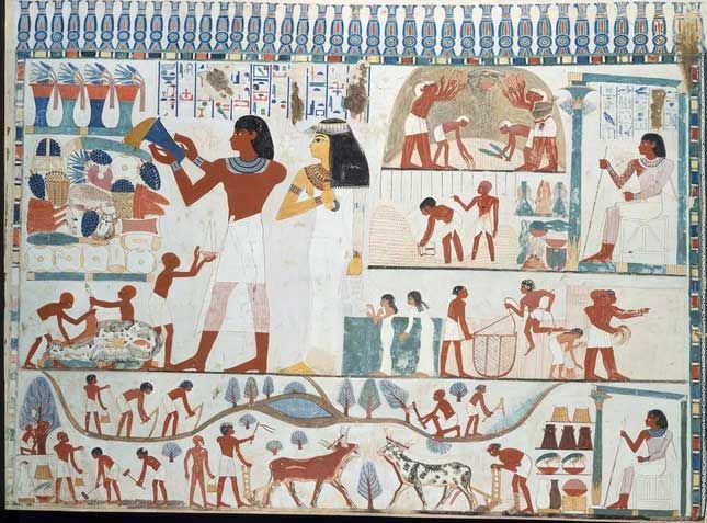 Những điều thú vị về thuế ở Ai Cập cổ đại