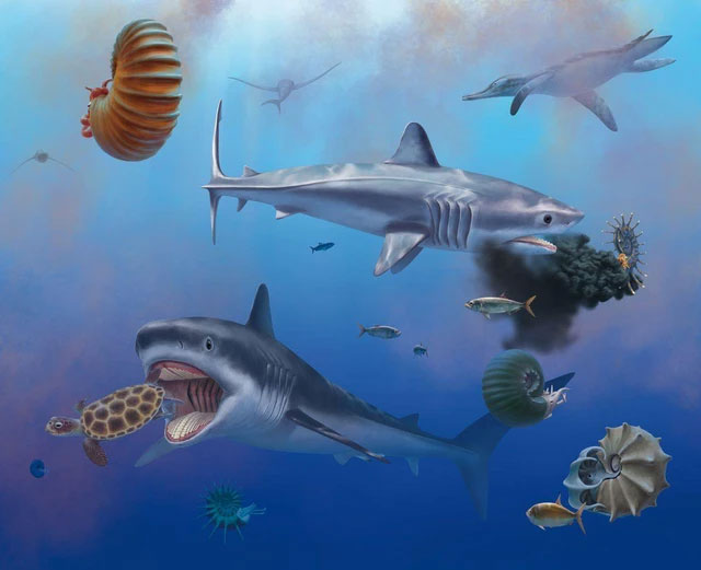 Quái vật biển đáng sợ dài 10 mét, có hàm răng đủ sức nghiền nát rùa biển