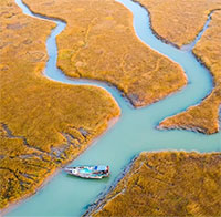 Nghiên cứu cho thấy 1/5 cửa sông trên thế giới đã biến mất trong 35 năm qua