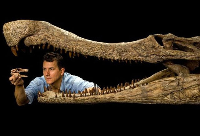 100 triệu năm trước, sa mạc Sahara là nơi sinh sống của cá sấu có thể chạy như một vận động viên