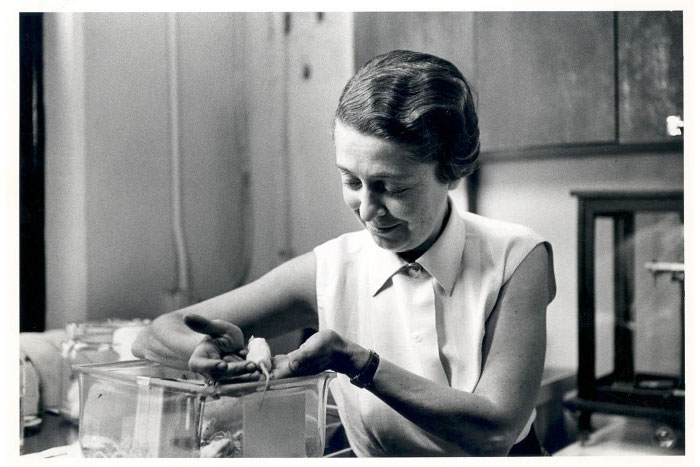 Rita Levi-Montalcini - Người có nhiều cống hiến cho nền khoa học Ý