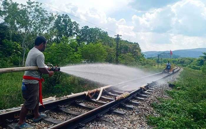 Mùa hè 2024 sẽ điên rồ nhất trong lịch sử của châu Á