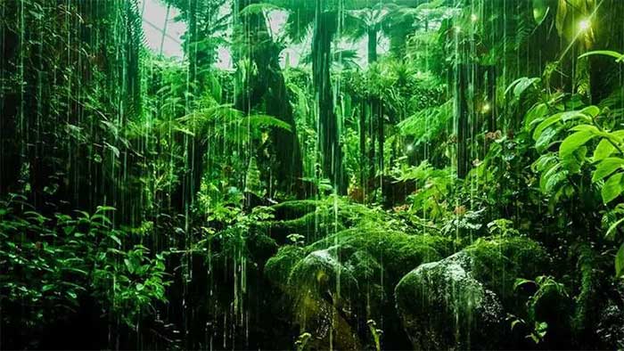 Tại sao vùng xích đạo nhận nhiều nắng nhất nhưng không phải là nơi nóng nhất?