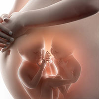Cứ làm IVF là được thai đôi và có thể chọn giới tính thai nhi?