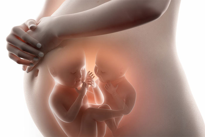 Nếu làm IVF, bạn sẽ mang thai đôi và được lựa chọn giới tính thai nhi?