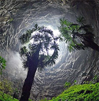 Khám phá Xiaozhai Tiankeng - hố sụt sâu nhất thế giới!