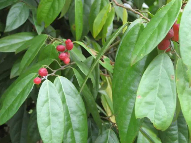 Liên tục tìm thấy 