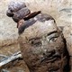 Sự thật về những "bông hoa" màu trắng nở rộ khi soi kính hiển vi đội quân đất nung