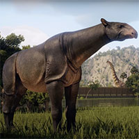 Động vật có vú trên cạn lớn nhất từng sống là Paraceratherium - Thực sự là nó lớn đến mức nào?