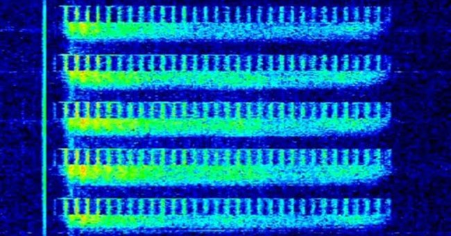 Giải mã tín hiệu vô tuyến bí ẩn của Nga đã truyền đi trong 40 năm khiến các nhà khoa học bối rối