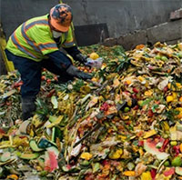 Dubai biến rác thải thực phẩm thành phân bón tăng màu mỡ đất