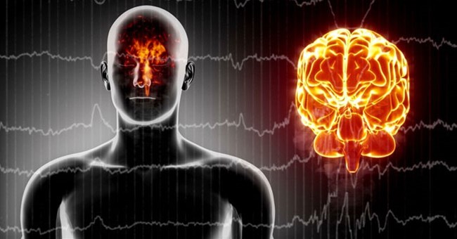 Giải mã bí ẩn não bộ: Con người sẽ được sử dụng được 100% sức mạnh của bộ não?