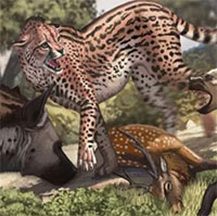 Tìm thấy hóa thạch báo săn lớn nhất từng sống trên Trái đất