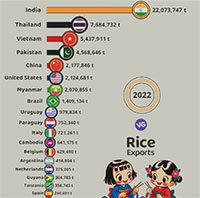 Những quốc gia xuất khẩu gạo nhiều nhất thế giới niên vụ 2023-2024