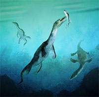 Thủy quái dài 7m lộ diện sau 246 triệu năm tuyệt tích