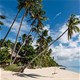 Khám phá Siquijor - Hòn đảo phép thuật ở Philippines