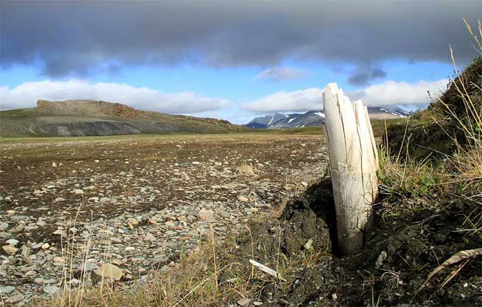 Scenery on Wrangel Island in the Arctic Ocean off the coast of Siberia, Russia.