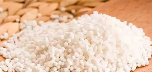 Bí ẩn về những cây dừa không bao giờ ra quả, nhưng vẫn có thể nuôi sống hàng triệu người!