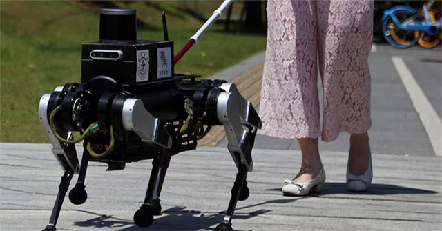 Chó robot dẫn đường hỗ trợ người khiếm thị