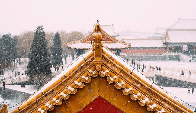 Hawks were once bred in the Forbidden City to hunt small birds.