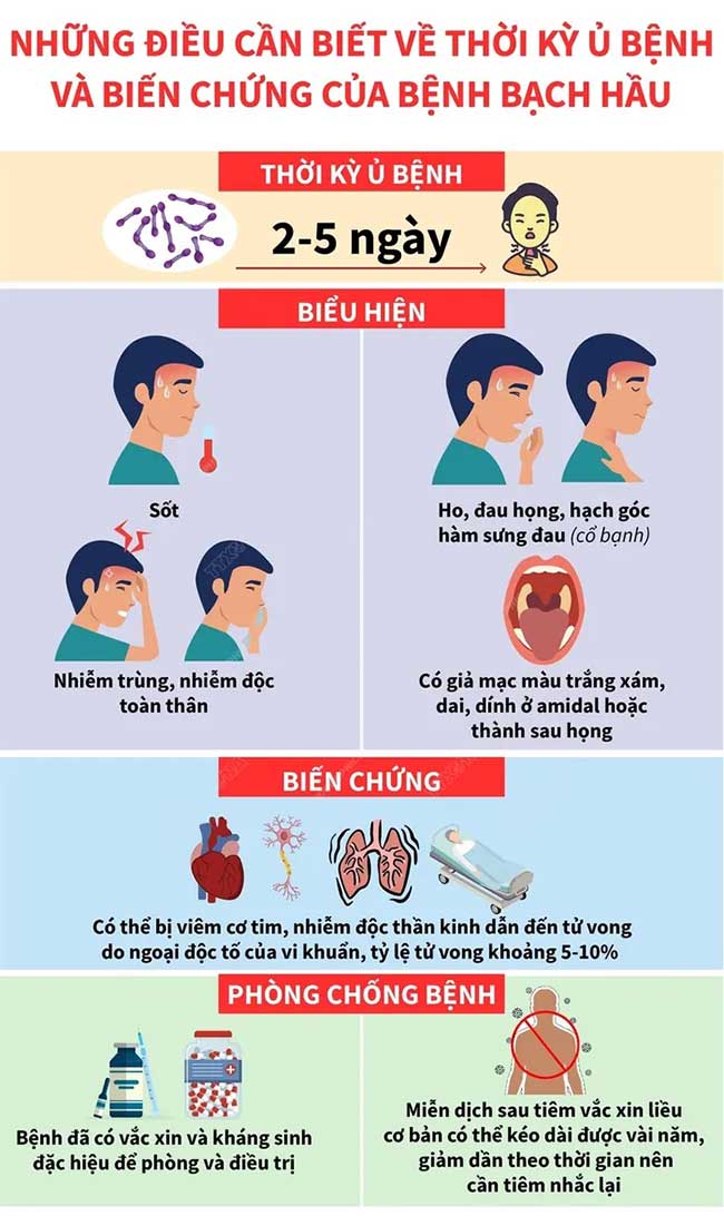 Incubation period of diphtheria