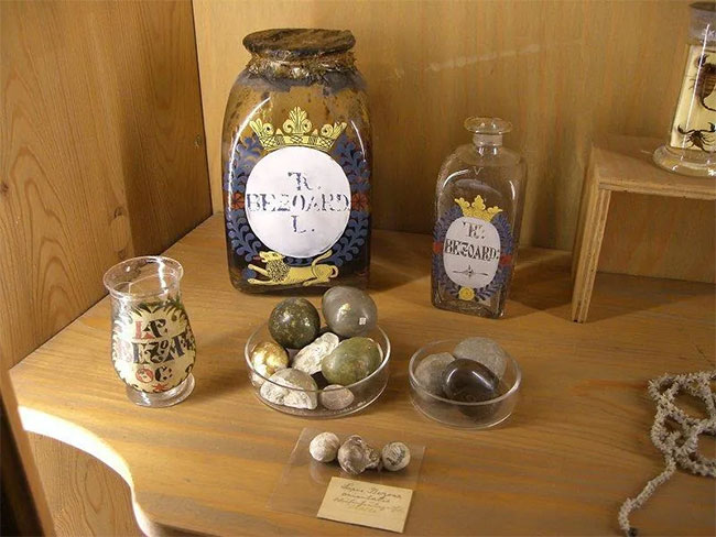 Khám phá thời hoàng kim của… 