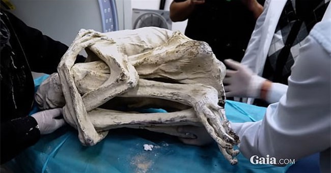 Tiết lộ mới về xác người ngoài hành tinh gây chấn động: Một chi tiết khẳng định "không phải con người"