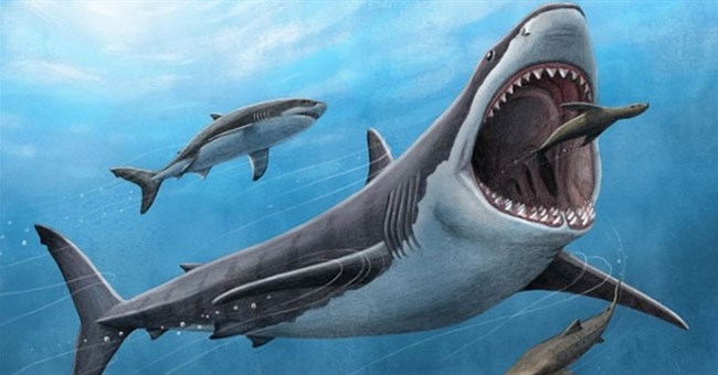 Quái vật megalodon hay cá mập trắng bơi nhanh hơn?