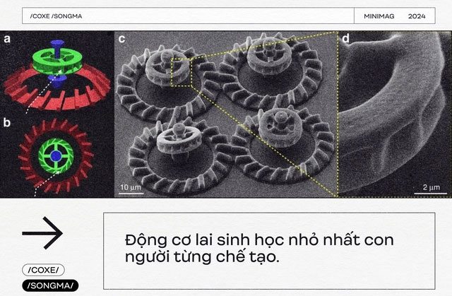 Các kỹ sư Nhật Bản vừa tạo ra 