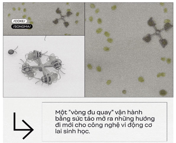 Các kỹ sư Nhật Bản vừa tạo ra 