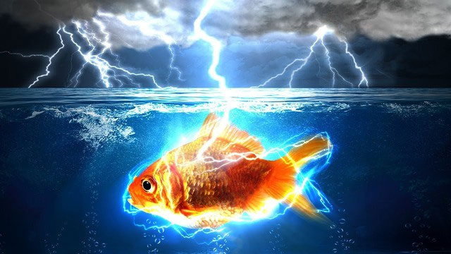 Nếu một tia sét đánh trúng hồ nước, liệu nó có giết chết cá trong hồ không?
