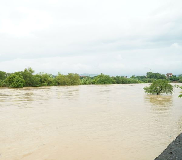 Nước sông dâng cao