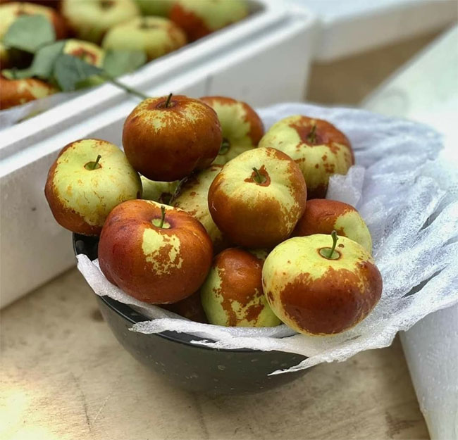 Loại quả là 