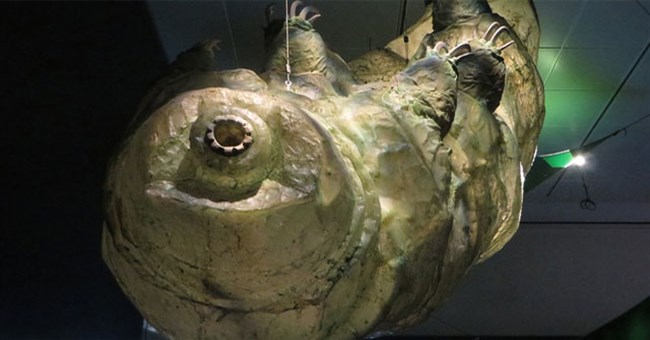 Điều gì sẽ xảy ra nếu Tardigrades có kích thước tương tự như con người?