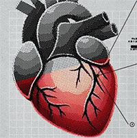 Bí ẩn y học: Trái tim được hiến tặng mách bảo chủ nhân mới tìm về nhà chủ nhân cũ, dù danh tính đã bị giấu kín