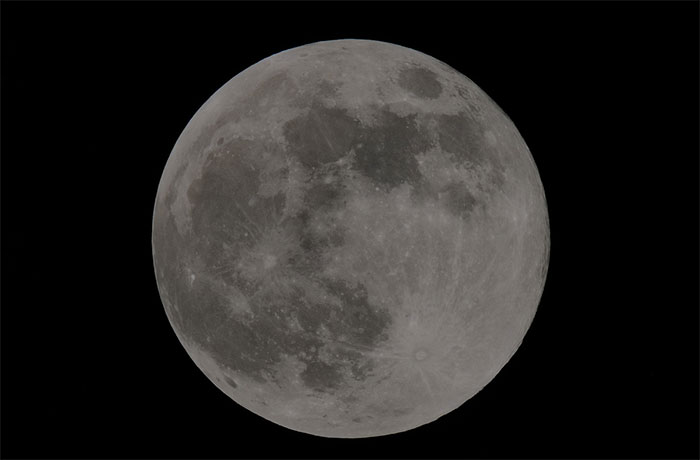 Siêu trăng chụp lúc 19h35, tại công viên Gia Định, quận Phú Nhuận, TP HCM.