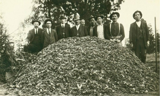 Những người đàn ông đứng sau xác 500.000 con chuột chất đống bắt vào tháng 5/1917