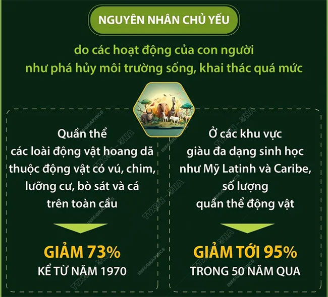 Hơn 70% quần thể động vật hoang dã biến mất trong 50 năm