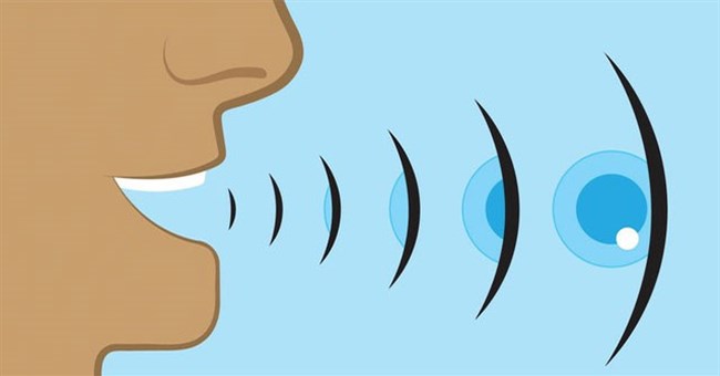 Bạn có thể thành thạo "tuyệt kỹ" này của dơi và cá heo chỉ với 2 tháng rưỡi tập luyện