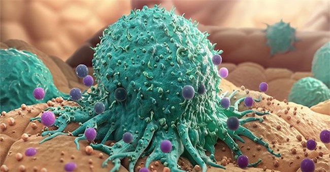 Top 7 loại virus có thể dẫn đến ung thư bạn nên biết