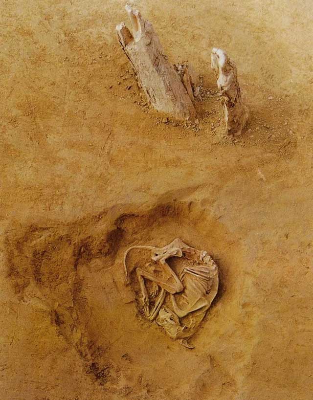 Các hố chôn gia súc phía trước mỗi cổng cụm mộ.