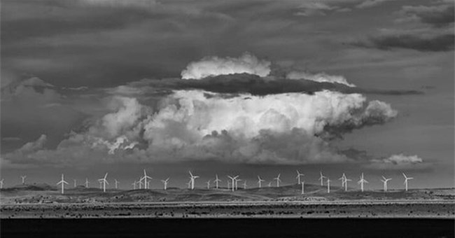 Bức ảnh này có gì đặc biệt mà thắng giải thưởng trị giá lên tới 200.000 USD?