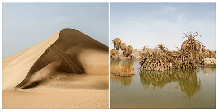 Cồn cát Siwa Oasis