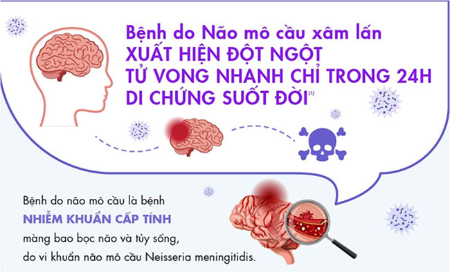 Bệnh do não mô cầu xâm lấn có thể gây tử vong trong 24 giờ