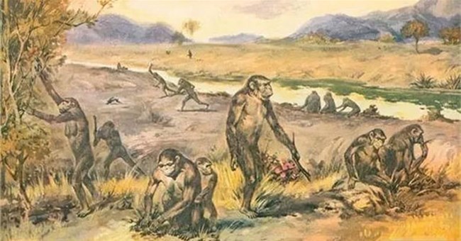 Con người đều do phụ nữ sinh ra, vậy người phụ nữ đầu tiên đến từ đâu trước khi có con người?